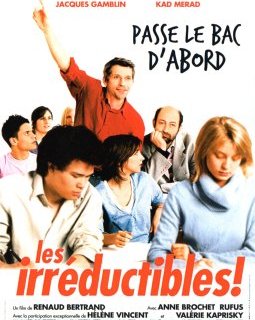 Les irréductibles ! - Renaud Bertrand - critique