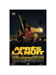 Après la nuit - la critique
