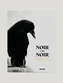 Noir, c'est noir, les corbeaux dans l'art et le folklore – Angus Hyland et Caroline Roberts - chronique livre