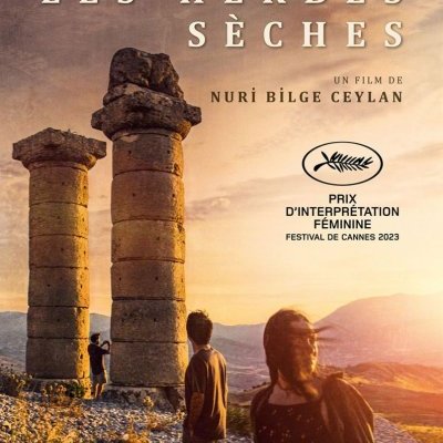 Les herbes sèches - Nuri Bilge Ceylan - critique