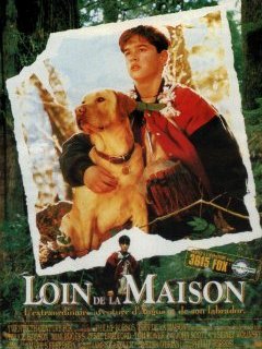 Loin de la Maison : quand Jesse Bradford adoptait un chien