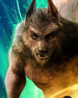 Chair de Poule : une affiche française