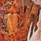Labyrinthe, de Jim Henson, du flop au culte : pour ses 30 ans découvrez le blu-ray