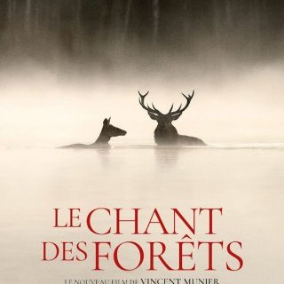 Le chant des forêts - Vincent Munier - critique 