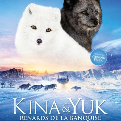  Kina & Yuk : Renards de la banquise - Guillaume Maidatchevsky - critique