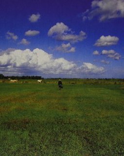 Biosphere : The Hilvarenbeek Recordings, retour aux sources