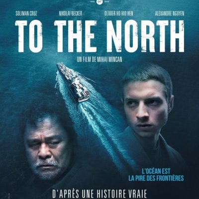 To the North - Mihai Mincan - critique