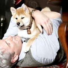 © Metropolitan FilmExport