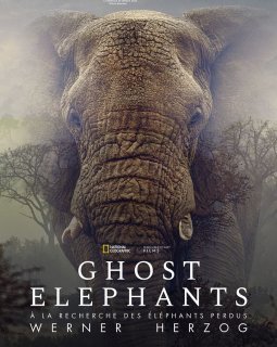 Ghost Elephants - Werner Herzog - critique