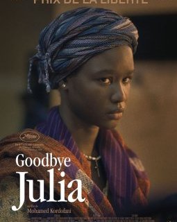 Goodbye Julia - Mohamed Kordofani - critique