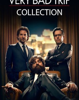 Trilogie Very Bad Trip - Todd Philips - critique