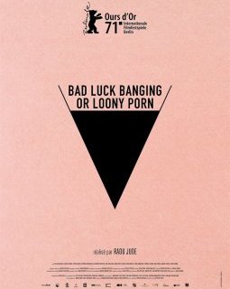 Bad Luck Banging or Loony Porn - Radu Jude - critique