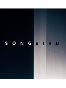 L'inspiration virale de Michael Bay : Songbird