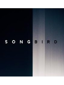 L'inspiration virale de Michael Bay : Songbird