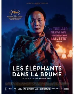 Les éléphants dans la brume - Abinash Bikram Shah - critique