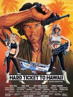 Piège Mortel à Hawaï (Hard Ticket to Hawai) - la critique du nanar