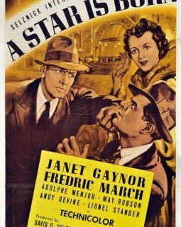 Une étoile est née - William A. Wellman - critique 