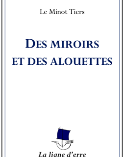 Des miroirs et des alouettes - La critique du livre