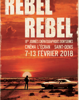 18e journées cinématographiques dionysiennes : Larry Clark invité d'honneur