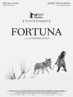 Fortuna - la critique du film