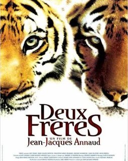 Deux frères - La critique