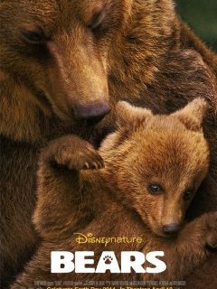 Grizzly, un nouveau Disneynature pour 2014