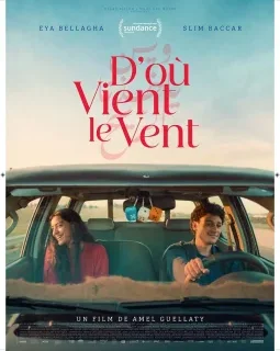 D'où vient le vent ? - Amel Guellaty - critique