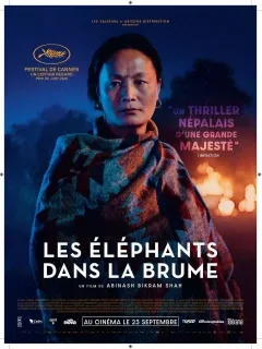 Les éléphants dans la brume - Abinash Bikram Shah - critique