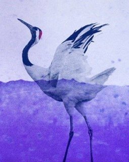 La Grue du japon de Fabrice Melquiot : quand Charlotte Rampling est à la lecture