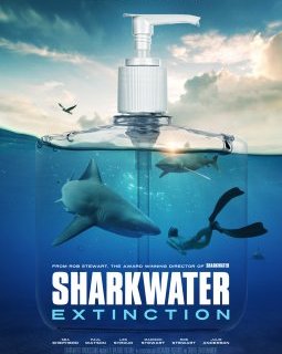 Mort du réalisateur Rob Stewart, cinéaste de Sharkwater