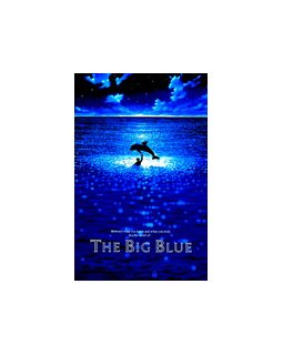 Le top 40 des films français aux USA