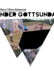 Under Gottsunda - la critique du film
