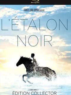 L'étalon noir - la critique du film et le test blu-ray