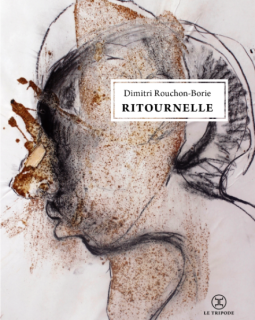 Ritournelle - Dimitri Rouchon-Borie - critique du livre 