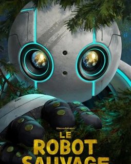 Festival d'Annecy 2024 : la présentation du Robot Sauvage