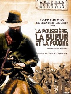 La poussière, la sueur et la poudre - la critique + le test DVD