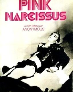 Pink Narcissus - la critique
