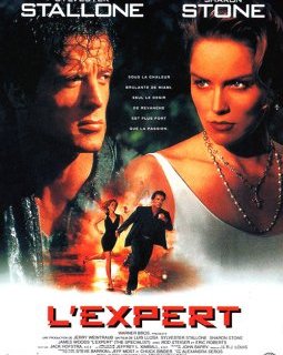 L'expert - la critique