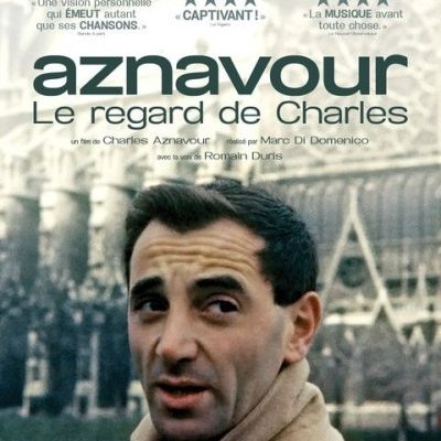 Le regard de Charles - Marc Di Domenico - critique 