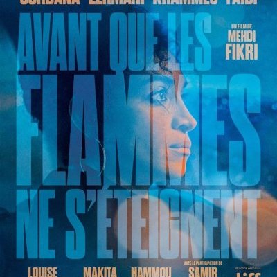 Avant que les flammes ne s'éteignent - Mehdi Fikri - critique