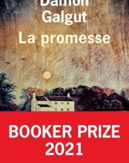La promesse - Damon Galgut - critique du livre