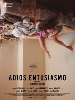 Adiós entusiasmo - Vladimir Durán - critique