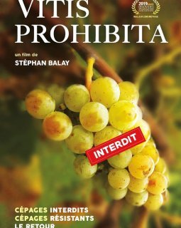 Vitis prohibita - la critique du film