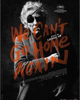 We can't go home again : la critique du film et le test DVD