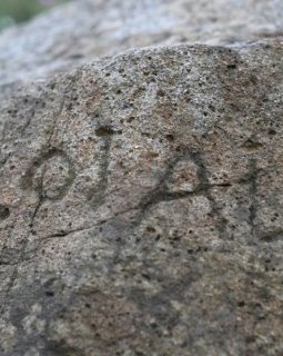 Un mystérieux message à 2000 euros