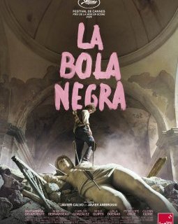 La bola negra - Javier Calvo, Javier Ambrossi - critique