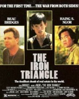 Le triangle de fer (The Iron Triangle) - la critique d'un film rare avec Johnny Hallyday