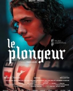 Le Plongeur - Francis Leclerc - critique