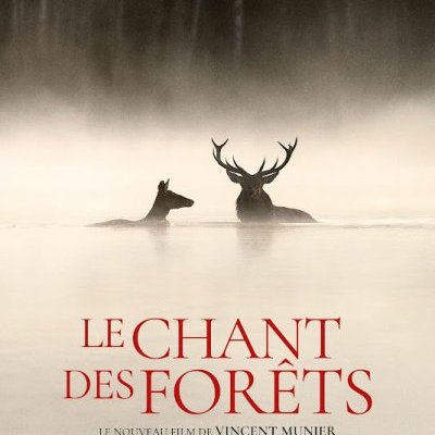 Le chant des forêts - Vincent Munier - critique 
