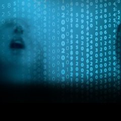 spip-bandeau spip-bandeau